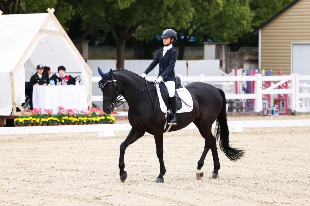 着盛装走舞步爱跃马杯上海市青少年马术盛装舞步锦标赛举行