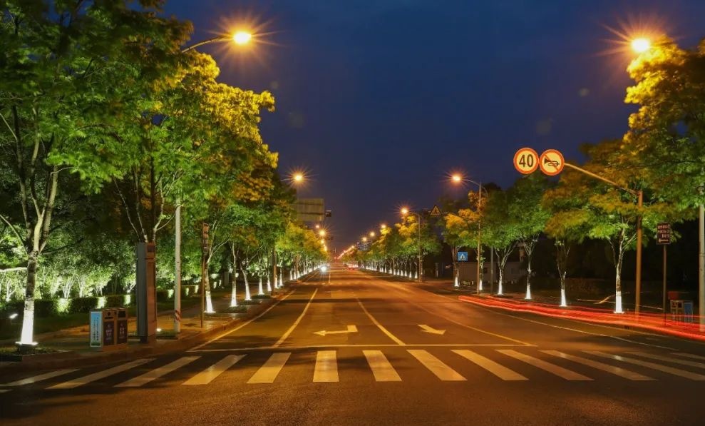 上海松江网红夜景图片