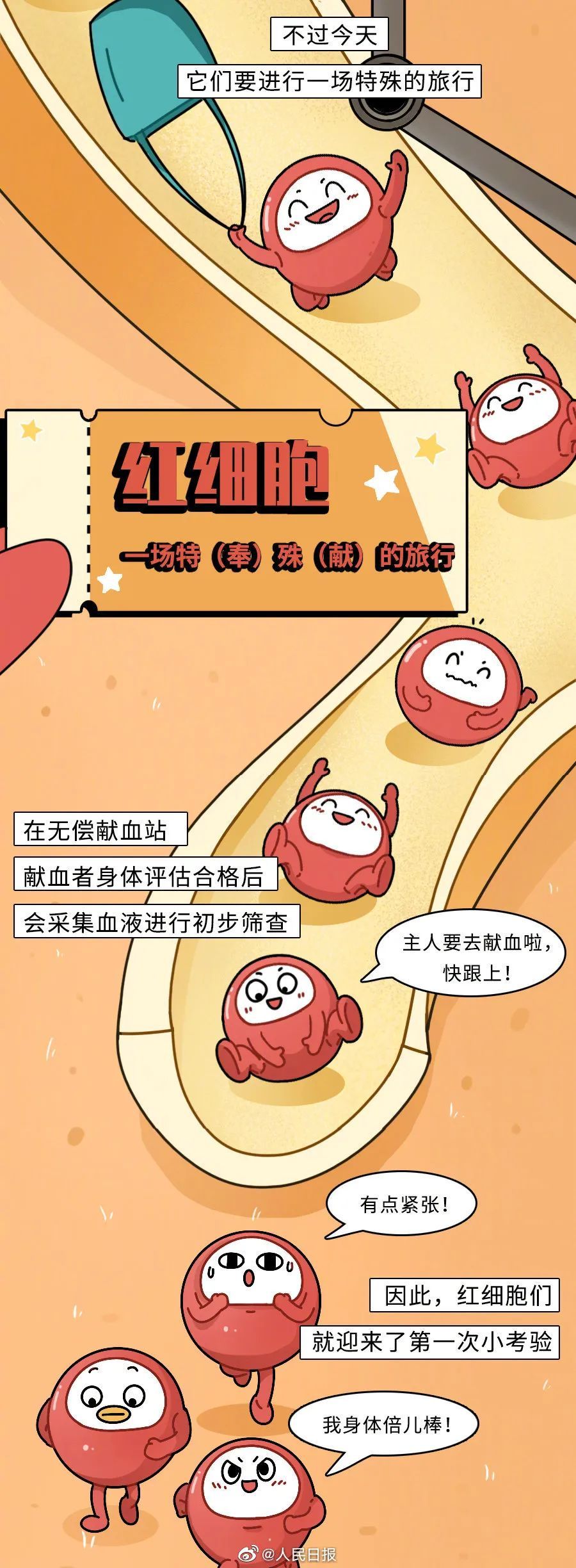 可爱红细胞在人体的奇妙旅行