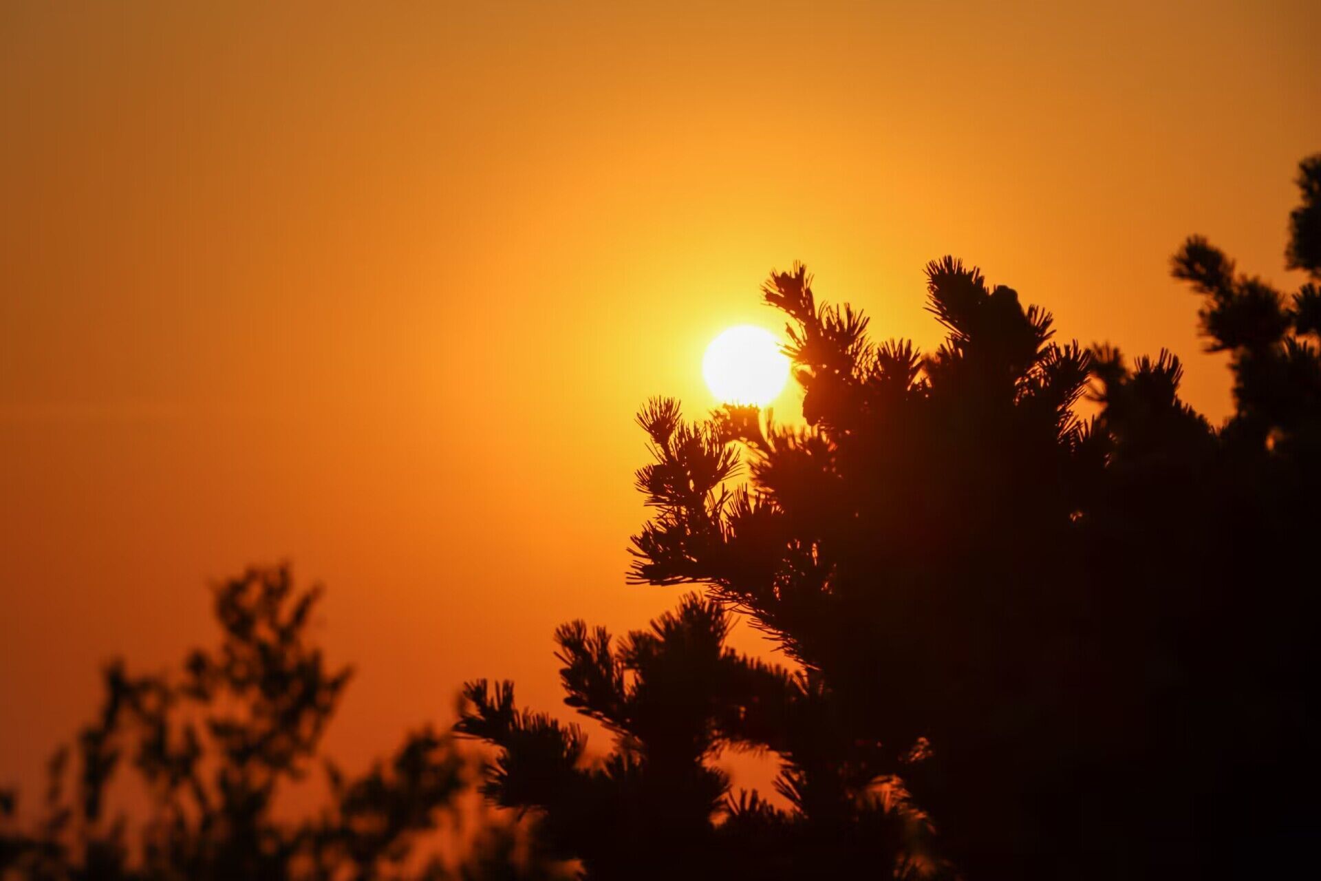 组图山衔斜阳红霞飞