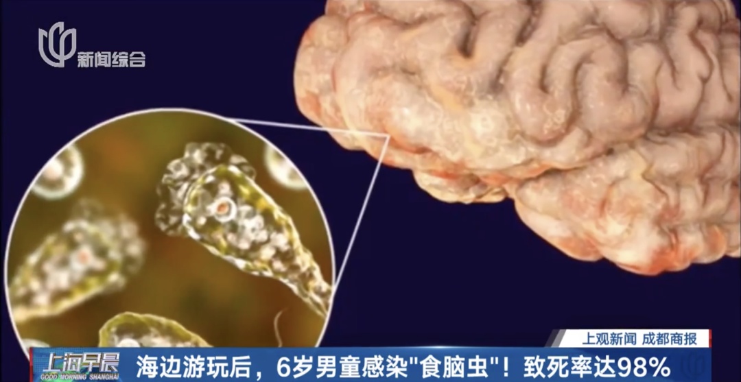孙中山大元帅府感后感_6岁男童游泳后感染“食脑虫”_第三次浪潮感后感3000