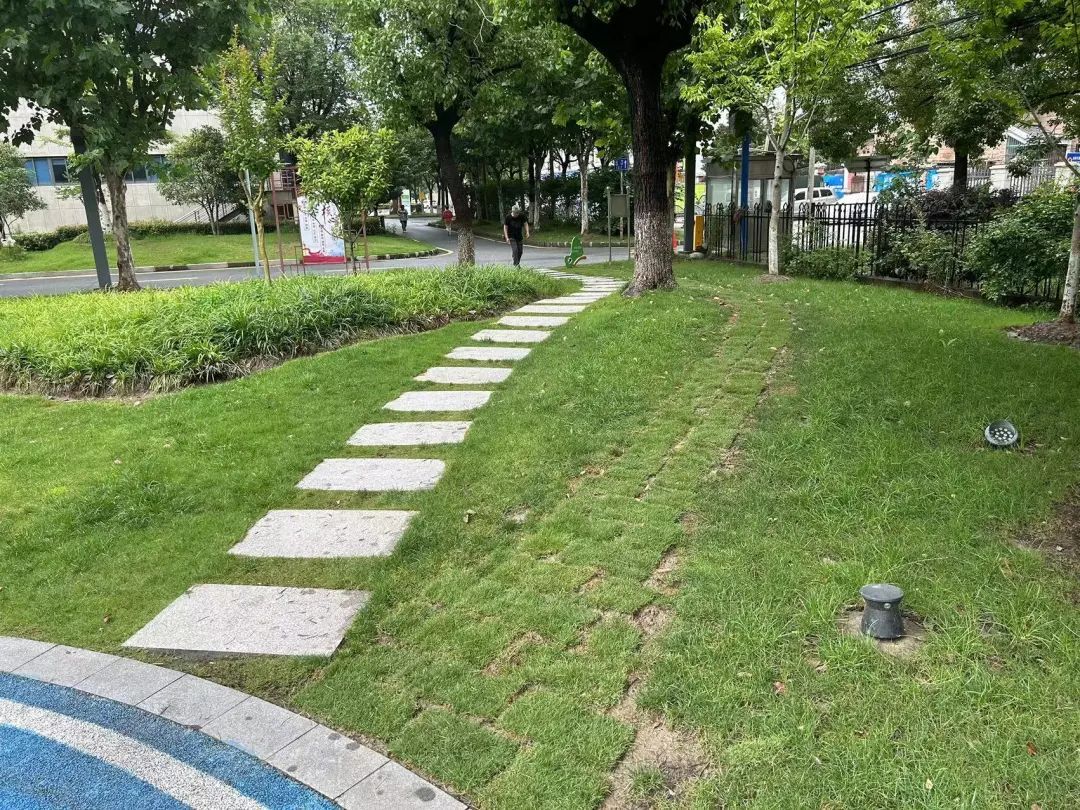 供稿:新桥镇分中心编辑:毛震珑上观号作者:上海松江