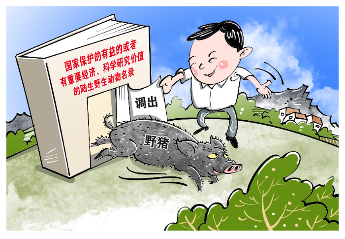 邳州议堂滨河小区入网说明_野猪正式调出“三有”名录_移除异常名录情况说明