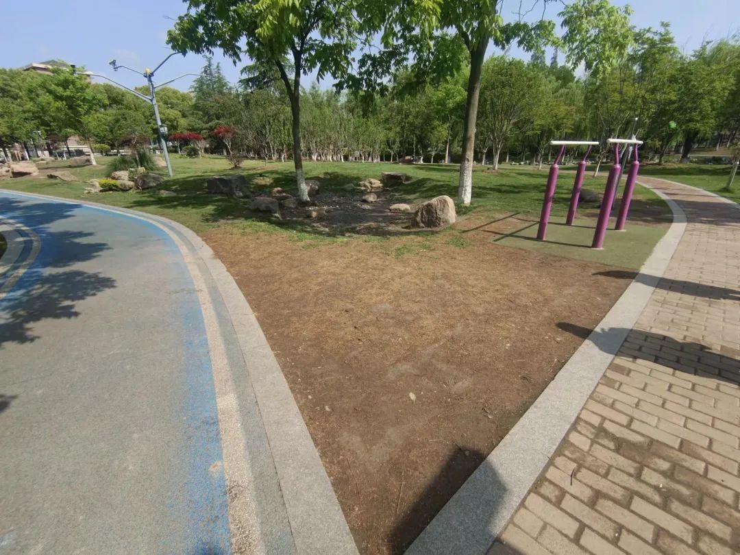 供稿:新桥镇分中心编辑:毛震珑上观号作者:上海松江