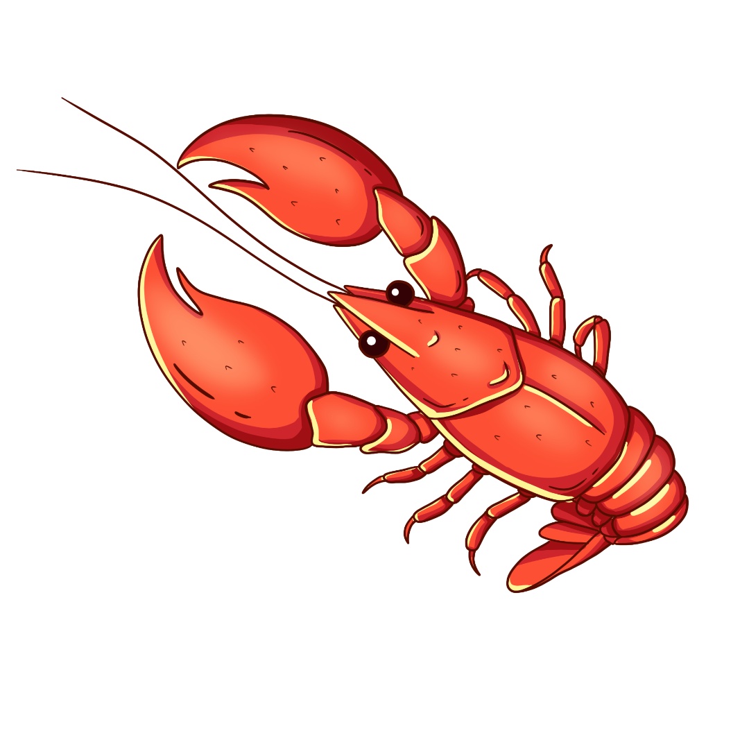 一文教你如何"嘬虾"最靠谱?