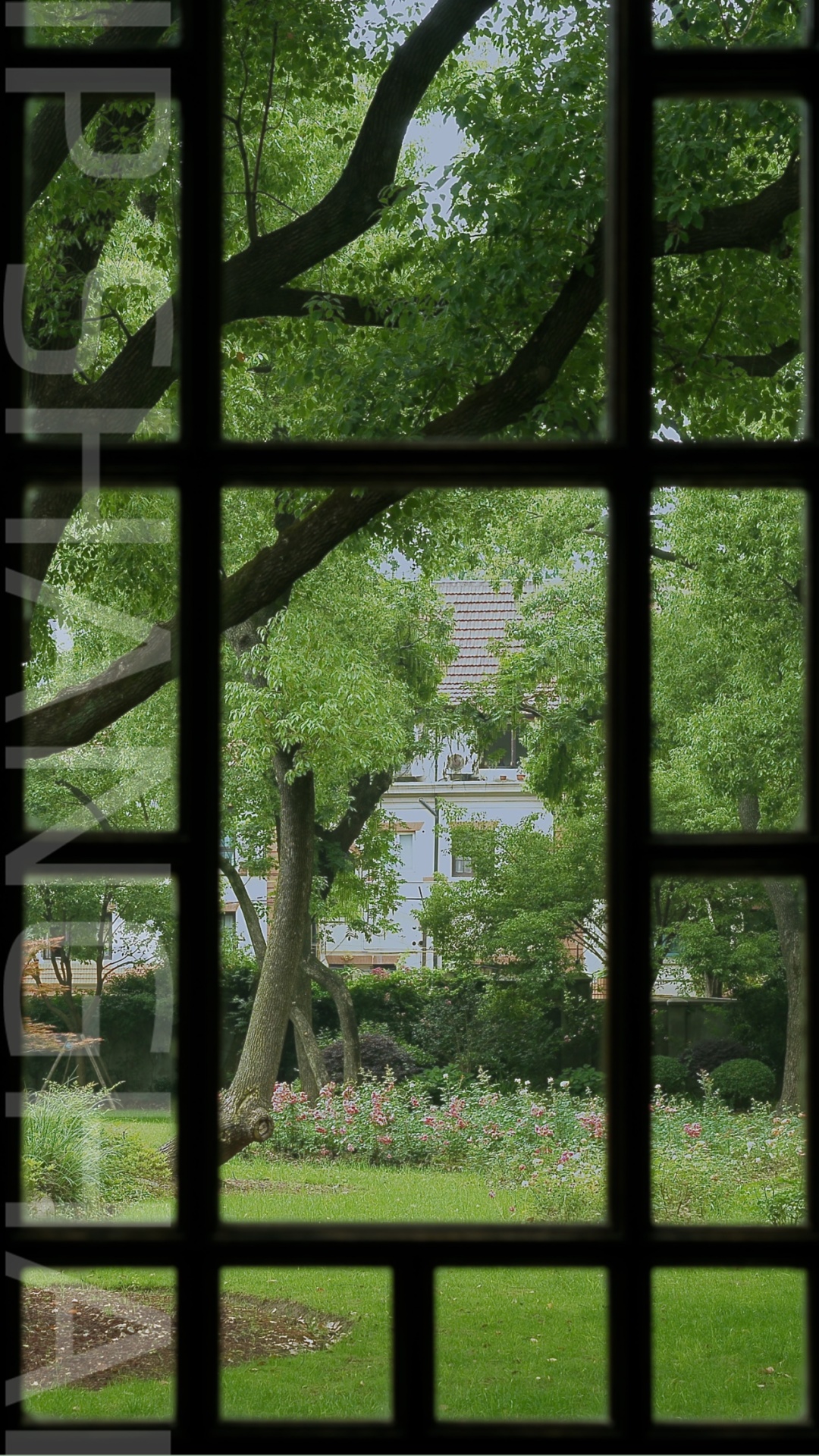 于新华路©阿唐哥伦比亚乡村俱乐部南立面的窗摄影师们从无数扇窗户