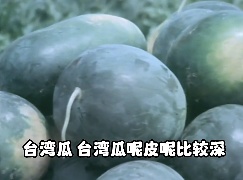 上海滩大明星！曾经的TA能上报纸头条！魔都人民“吃瓜”历史，侬晓得多少？