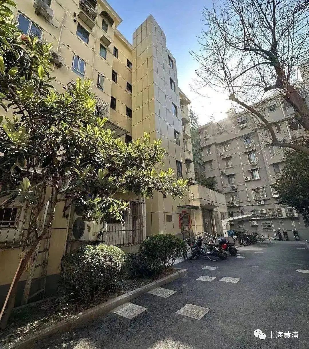 展播半淞园路街道三色半淞园留住烟火气