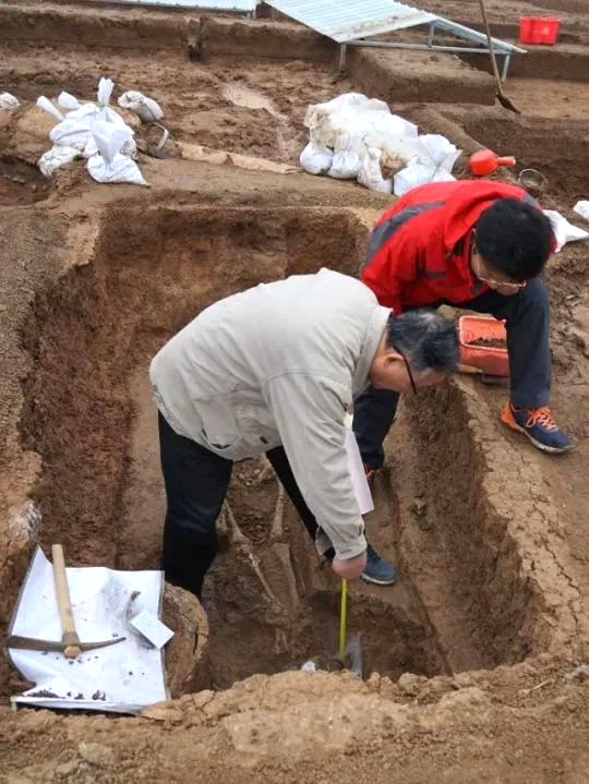 祝贺!上海大学荣获考古发掘资质
