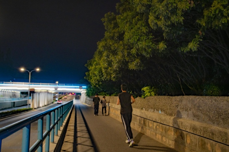 盛夏的夜晚，原来有那么多精彩