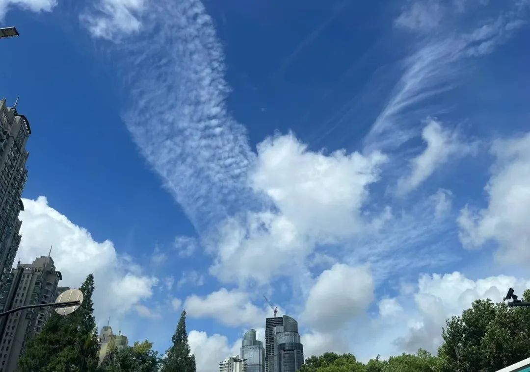 台风动态更新明天晚高峰开始特别注意
