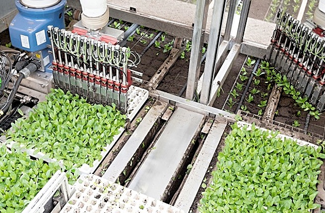 “种菜”回归仍挡不住被抛弃QQ的困境藏着一代人的告别