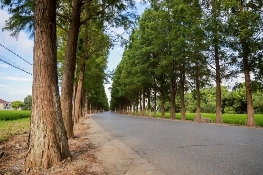 高庙路(伏虎路