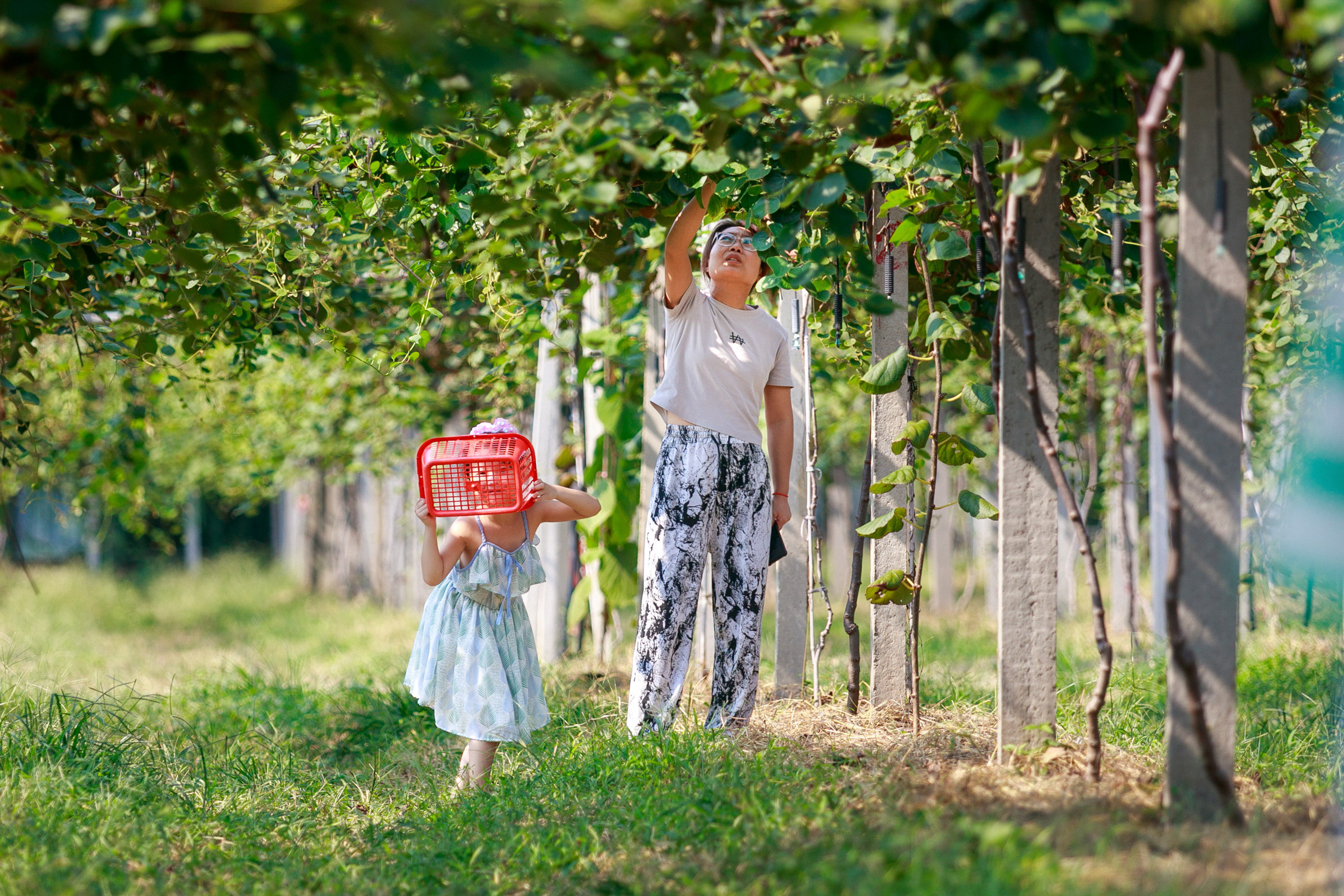 滕州市民果园采摘乐淘淘