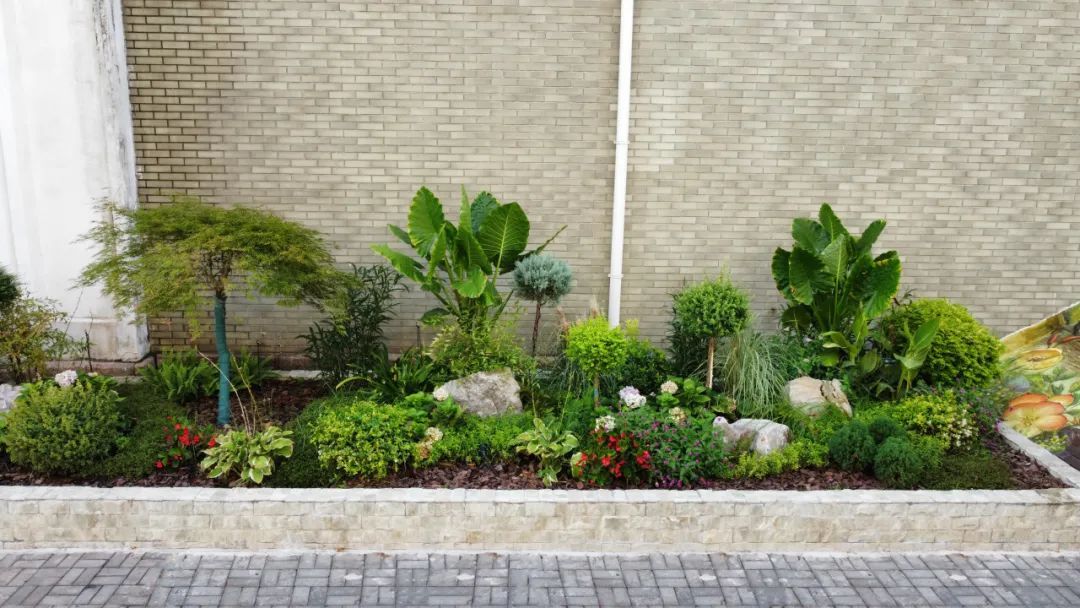 探索立体绿化新形式——来洛川路打卡森林动物家园