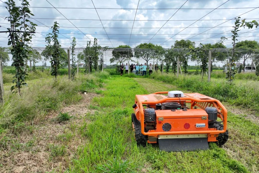科技范儿满满奉贤这里的无人割草机上岗啦