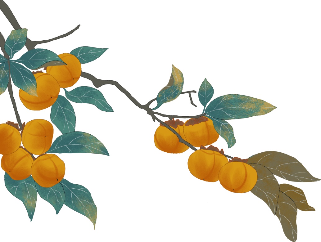 科学吃柿子才能柿柿如意丨杏林之声