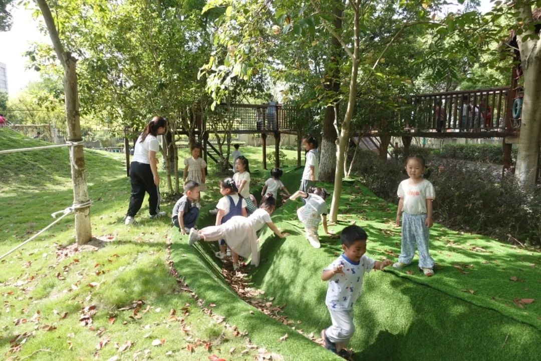 草桥幼儿园_金山幼儿园生态改造_廊下幼儿园自然教育