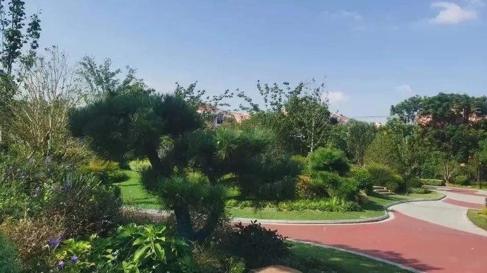 我的位置:>上观号>今日闵行>文章详情>上房植物造景科普基地——浦锦