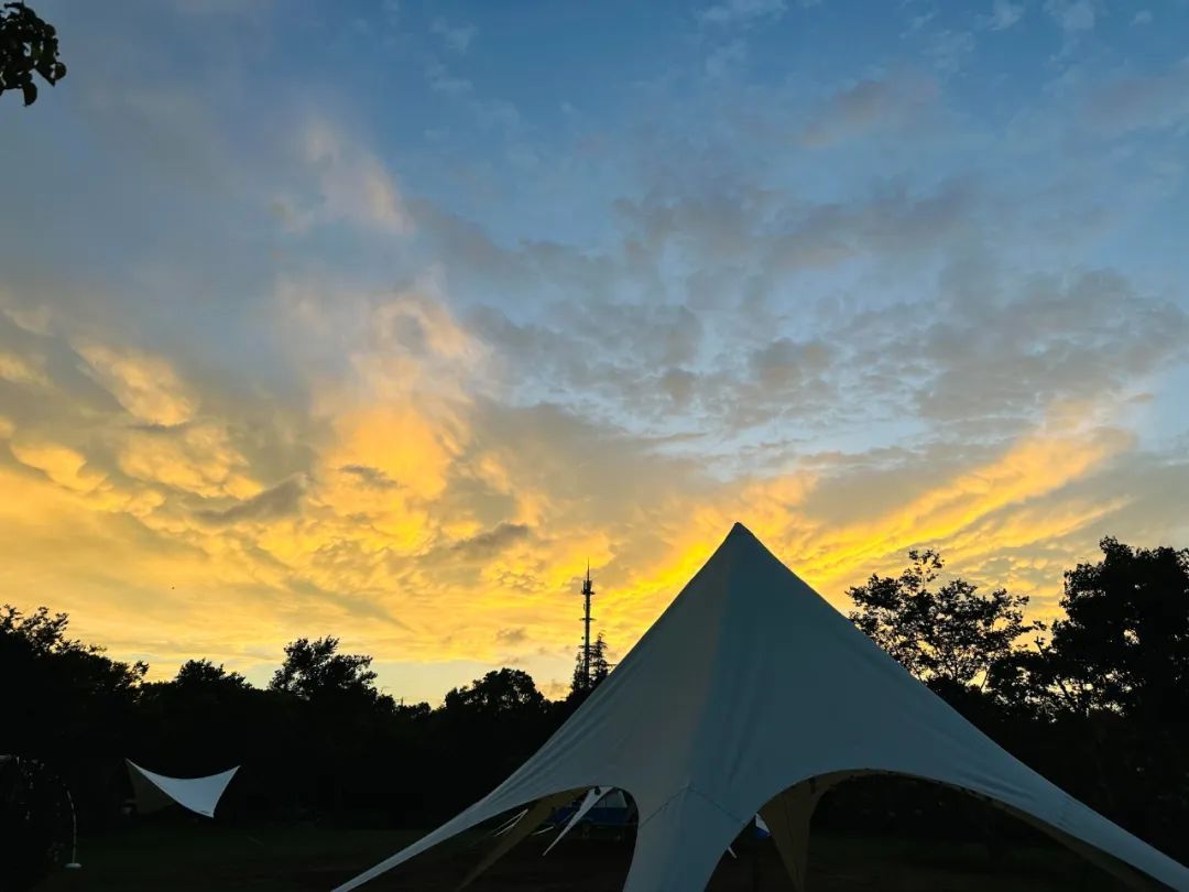 奉贤庄行郊野农艺公园民宿预订火爆多商家备战超长假期