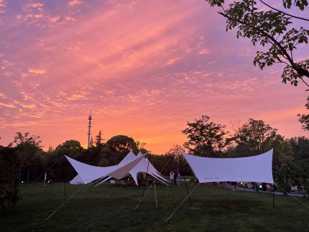 奉贤庄行郊野农艺公园民宿预订火爆多商家备战超长假期