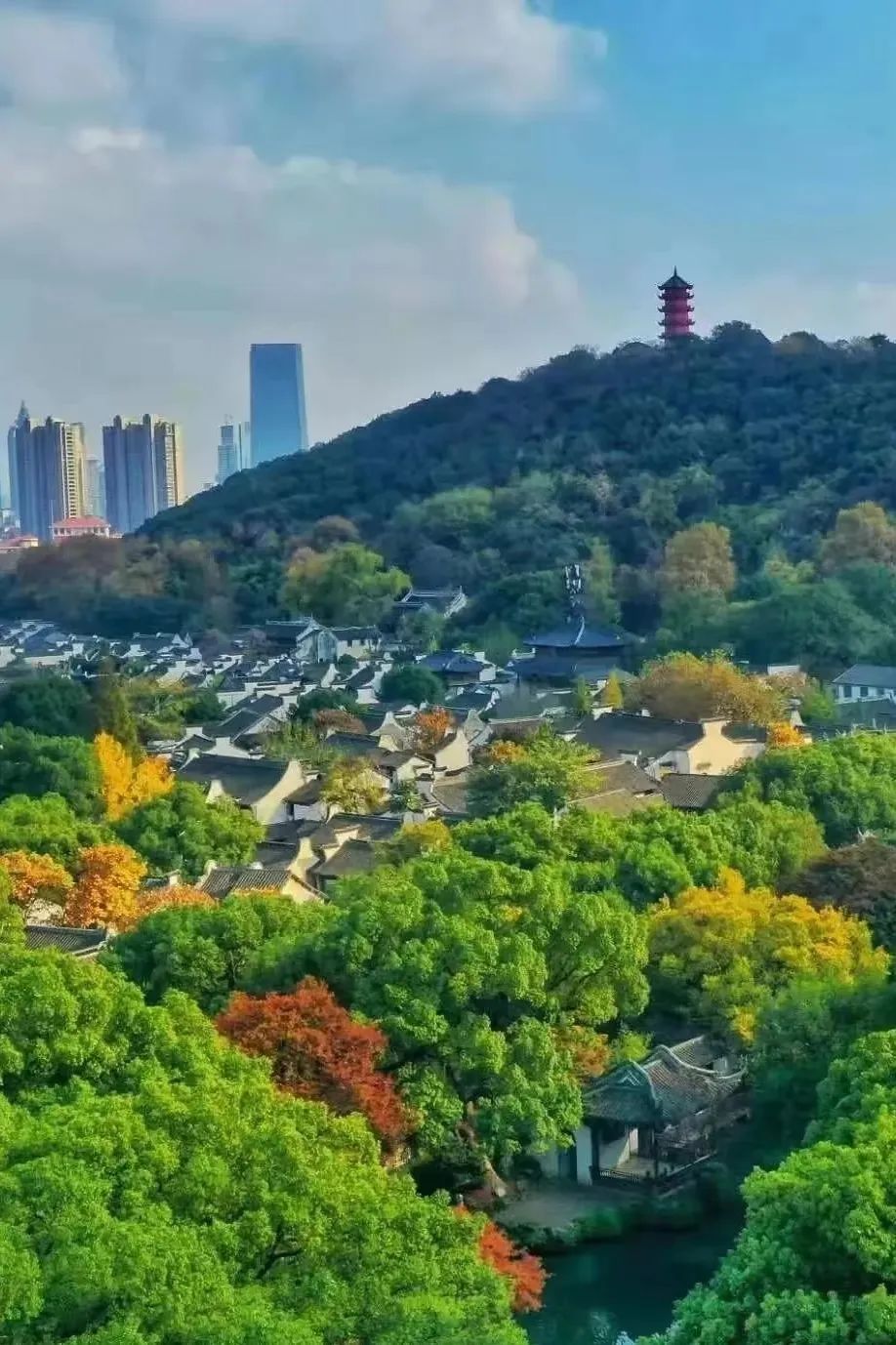 还将与你一起来一场惠山古镇citywalk;在惠山国家森林公园的步道徒步