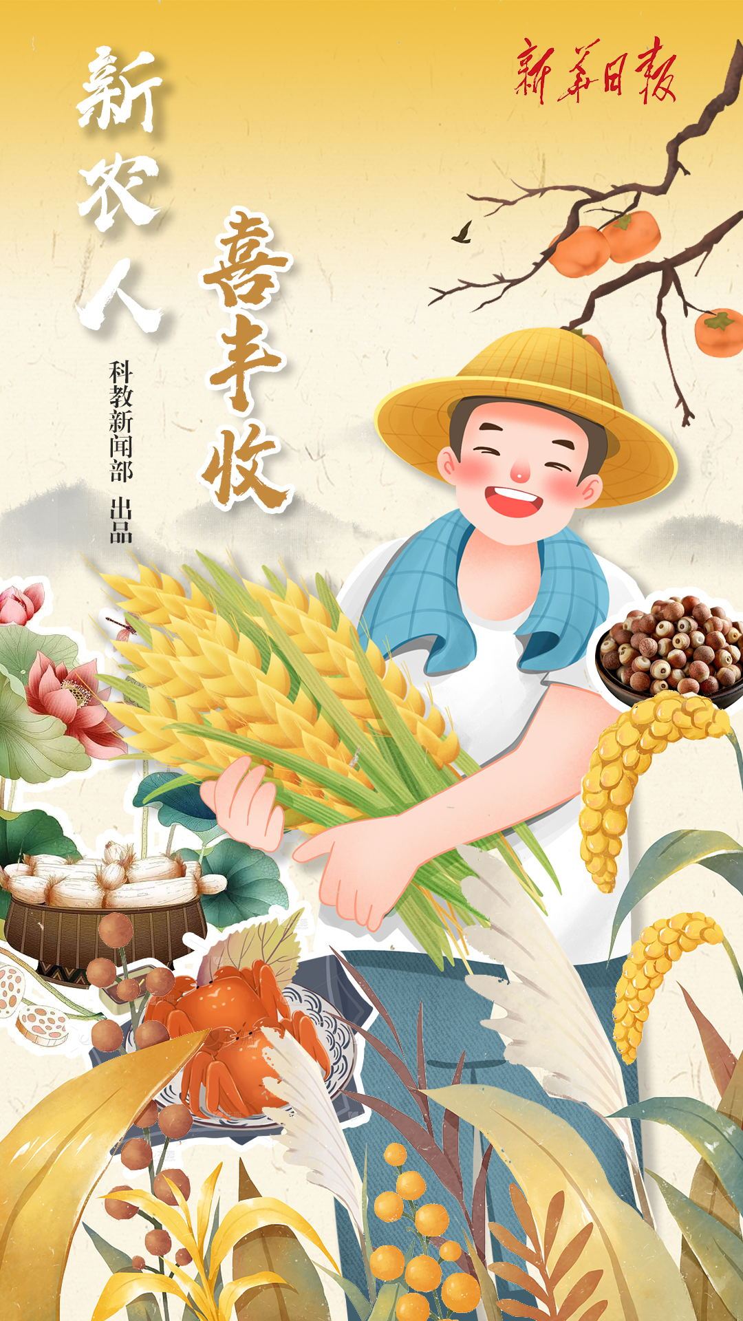 新农人喜丰收③入藕花深处遇上莲藕与芡实