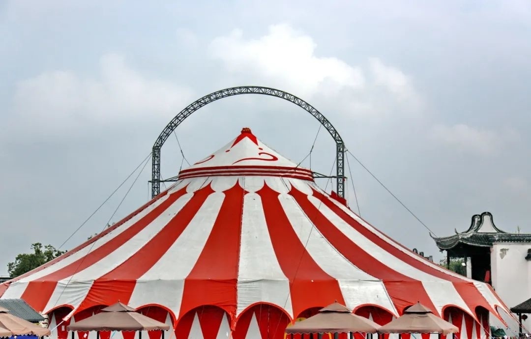 欢乐大马戏露营烧烤超大宠物游乐场精彩尽在