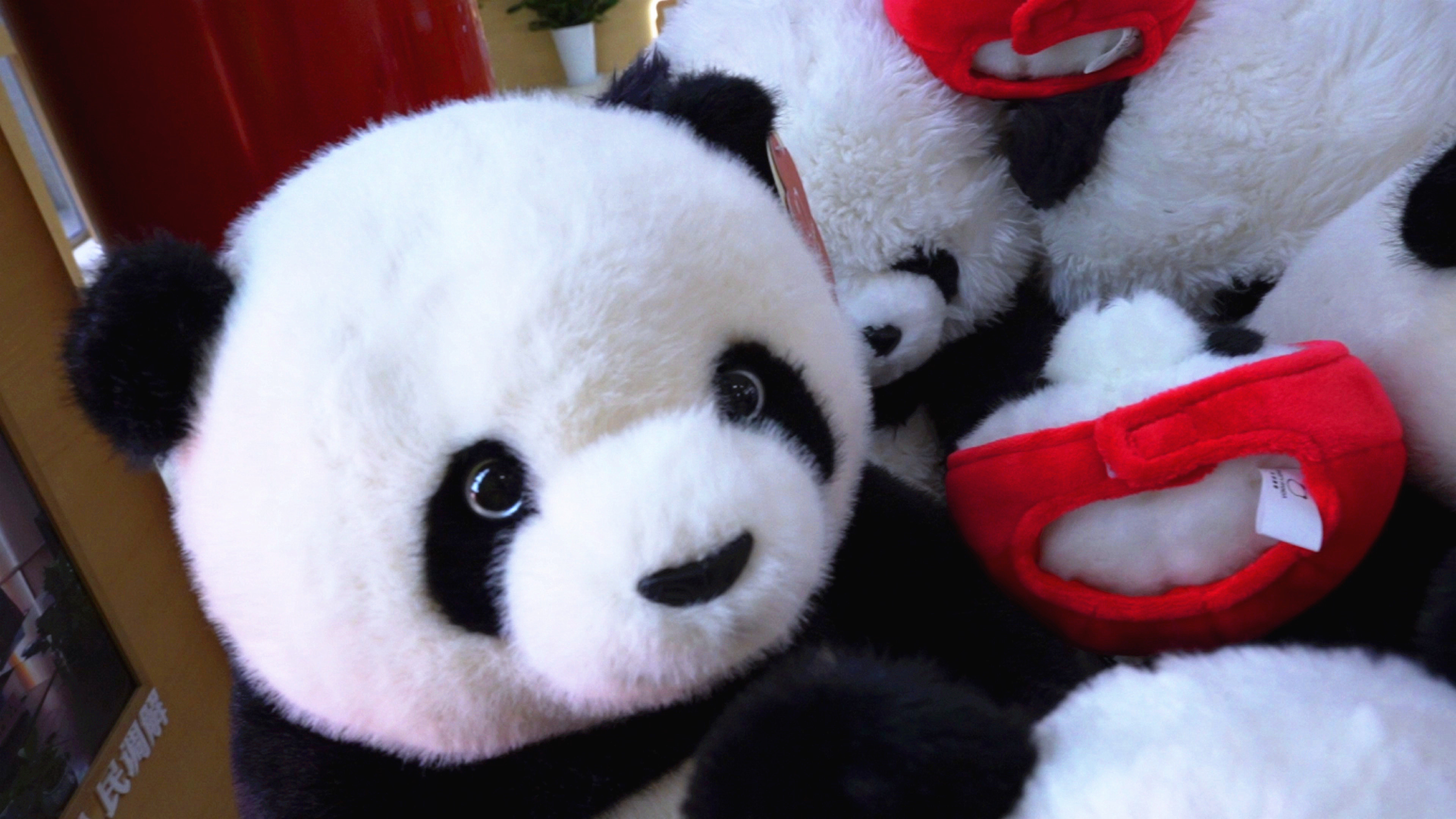 >上海静安>文章详情>tt静安寺街道社区图书馆还首次"变身"熊猫图书馆