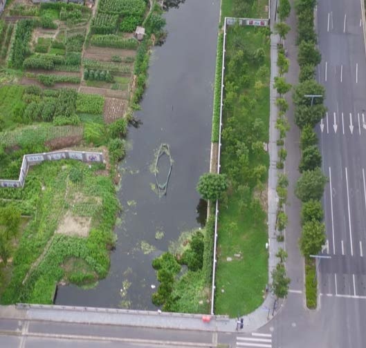 嘉定碧波荡漾照岸景河畔清风舒心灵安泾