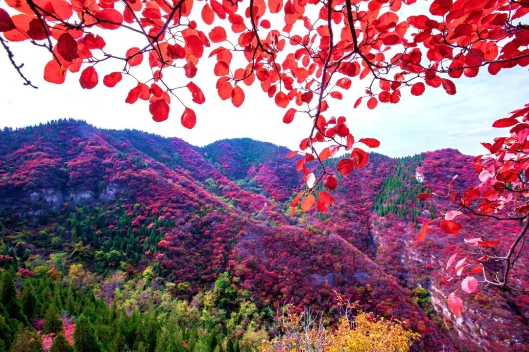 青州逄山风景区图片