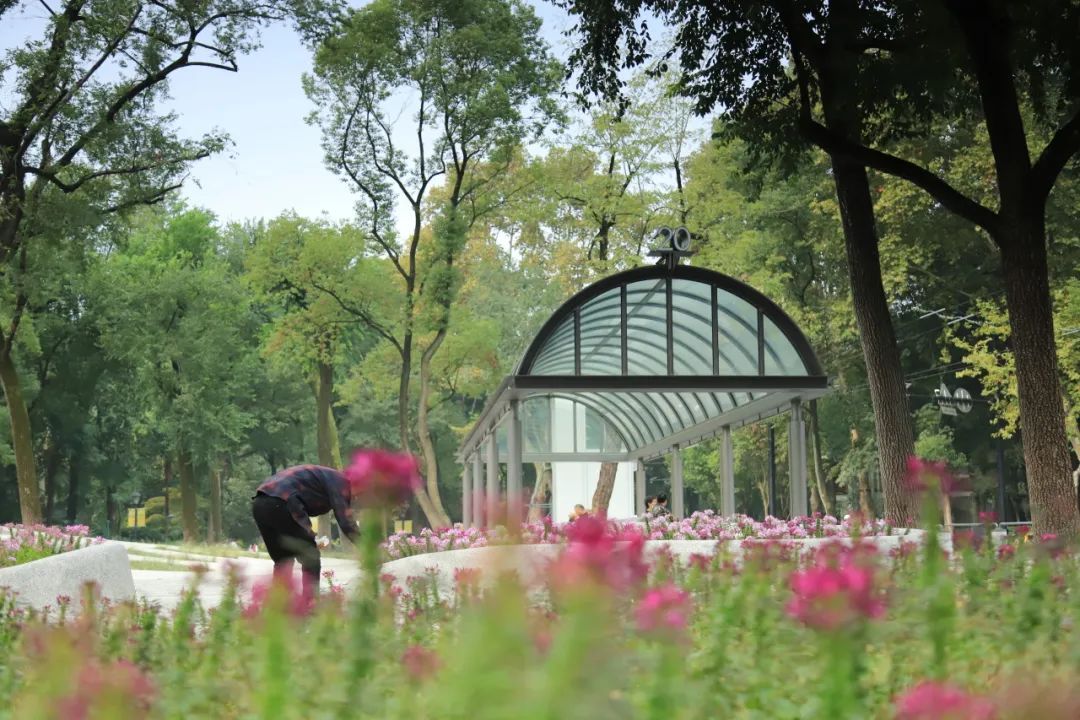 上海最美窗阳台评选活动","优秀市民园