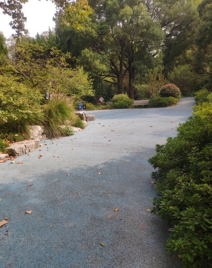 圈子晒图投票进行中快来把露营装备带回家