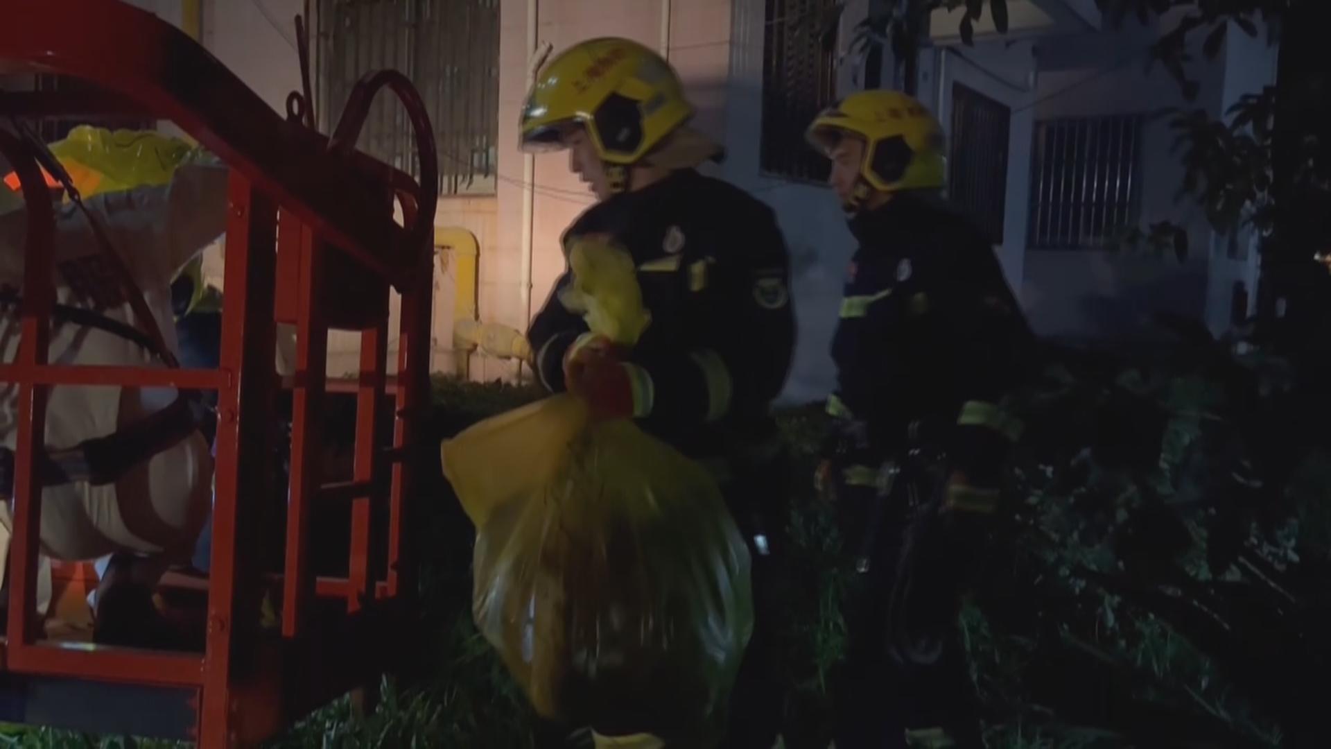 巨型马蜂窝安营扎寨网格联动及时消除隐患