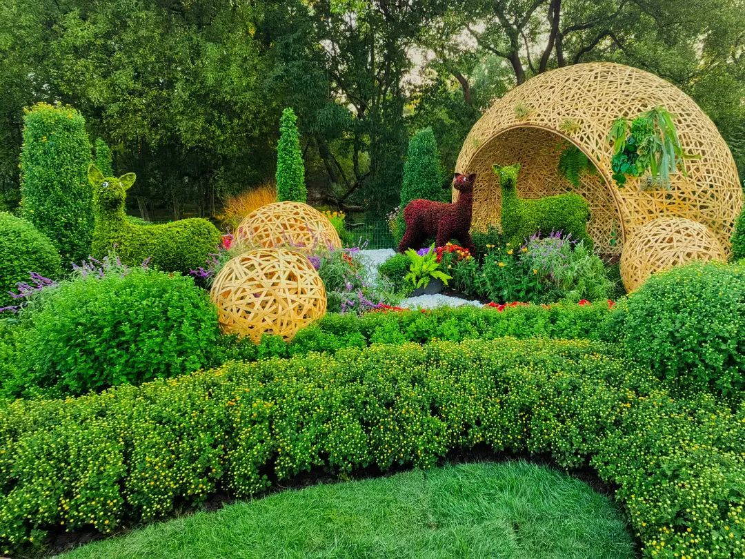 细品上海菊花展核心区,8组立体景点背后的故事