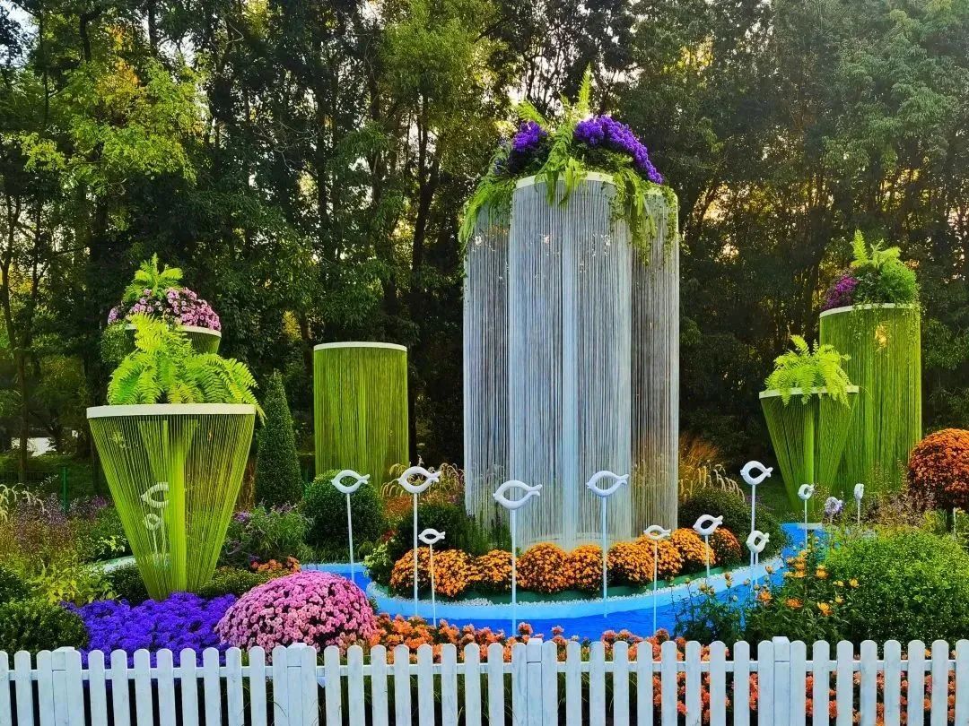 上海各大公园菊花展开幕乘坐公共交通去打卡