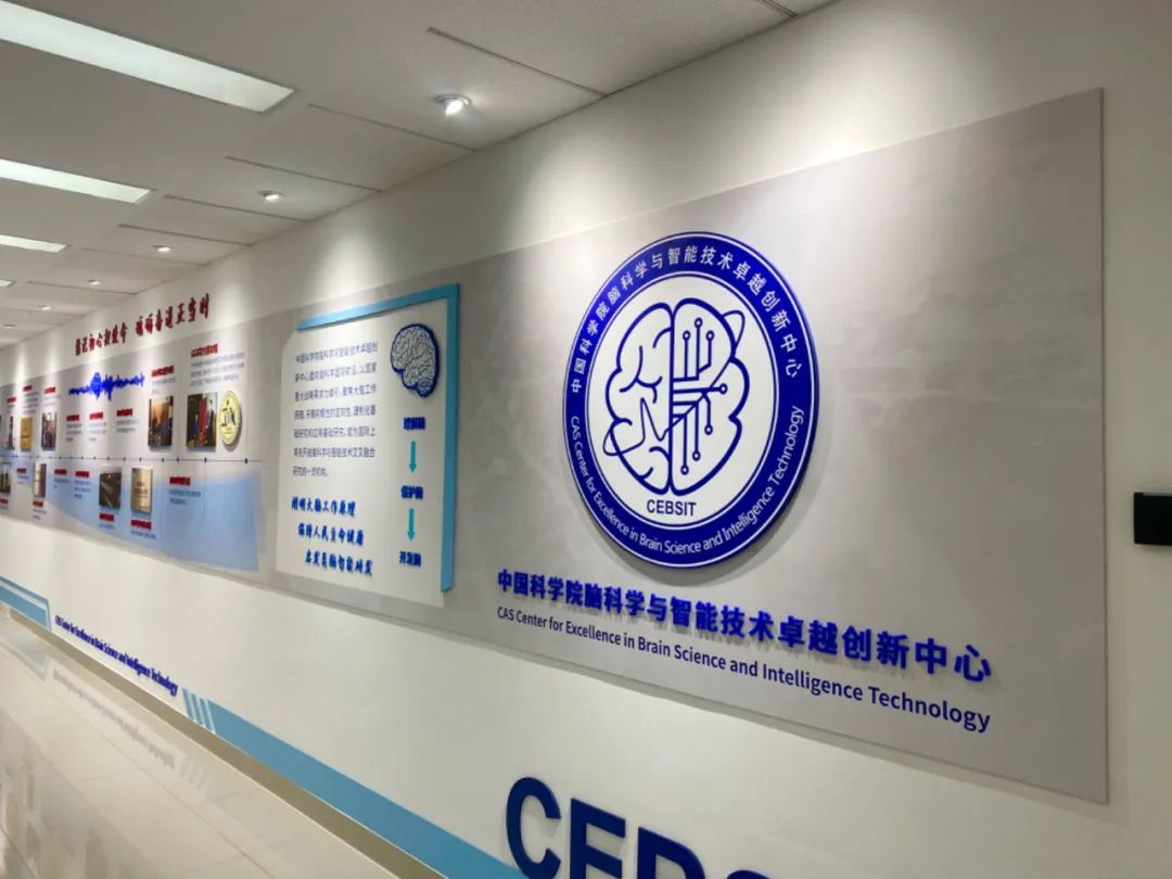 在国际首次成功构建高比例胚胎干细胞嵌合体猴g60脑智科创基地又一重