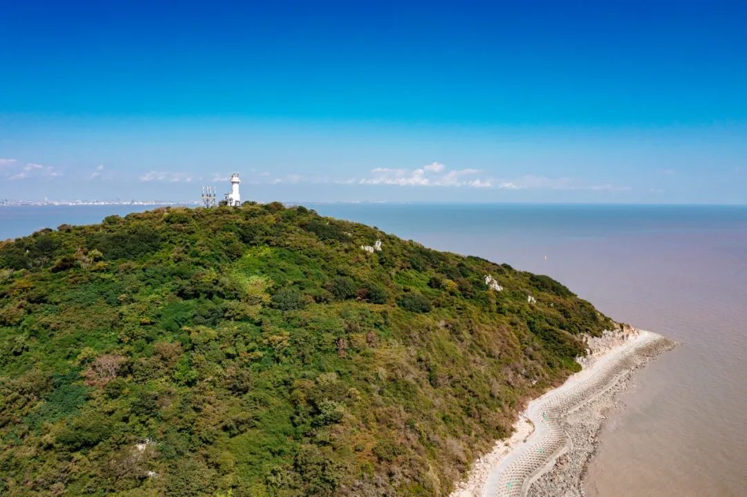 大金山岛自然探秘海洋科普一日营活动圆满结束一起看看有哪些精彩