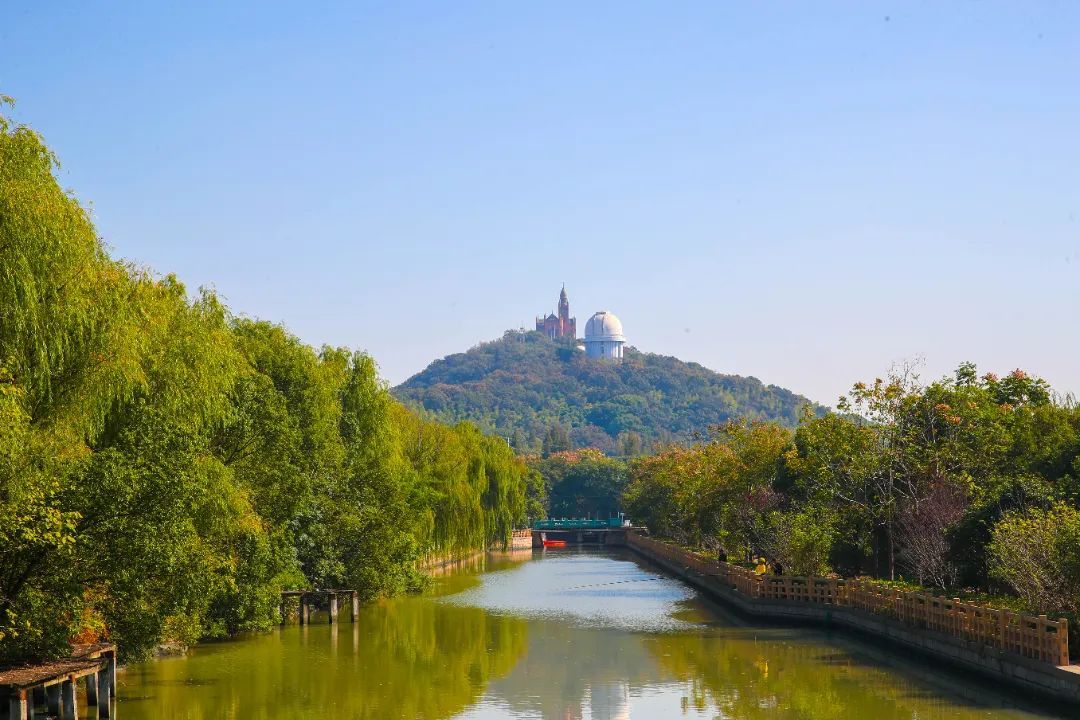 citywalk城市漫步今天我们去佘山镇