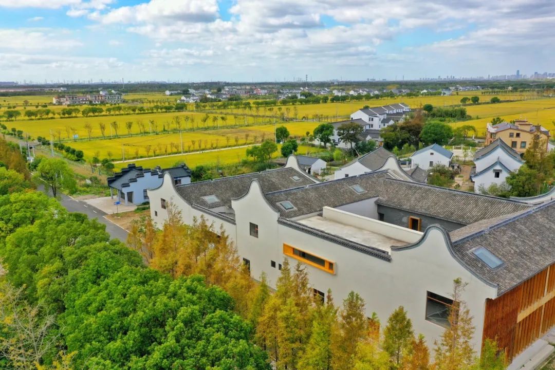 申隆生态园作为第一批上海市乡村旅游重点村奉贤区青村镇李窑村稻花香