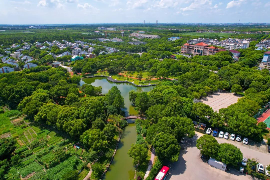 Countryside Walk!在泖港来一场小镇漫步_上观新闻