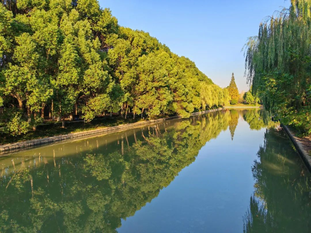 的美景仿佛挥动着自然的画笔一阵秋风拂过九科绿洲公园又换上了盛装