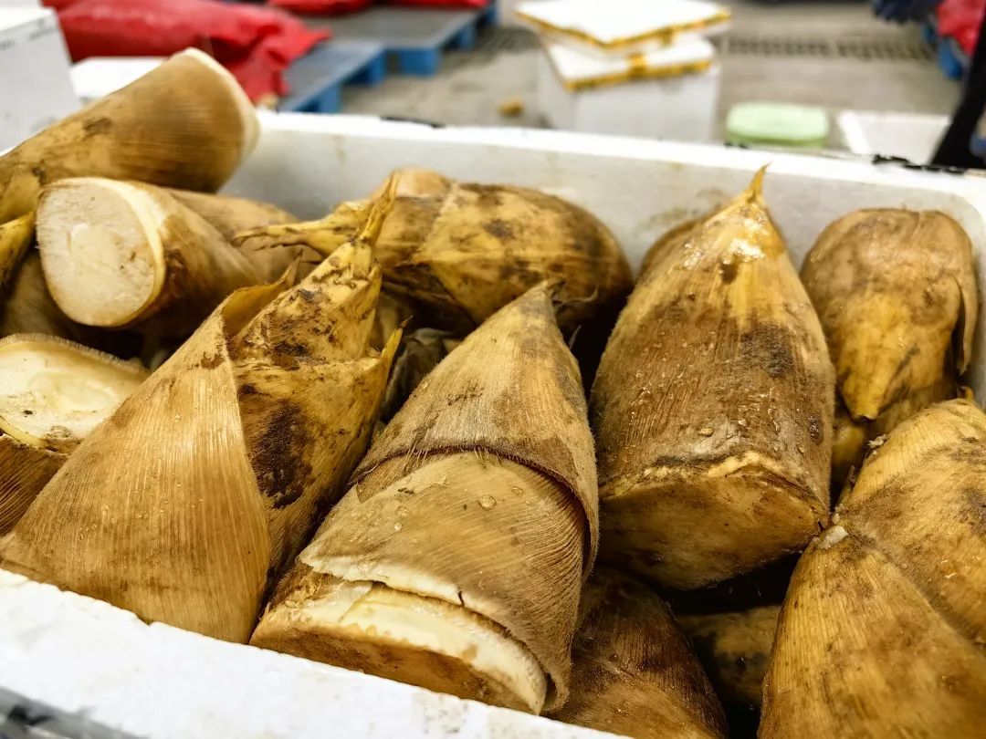 冬笋大量上市,价格比往年便宜_上观新闻