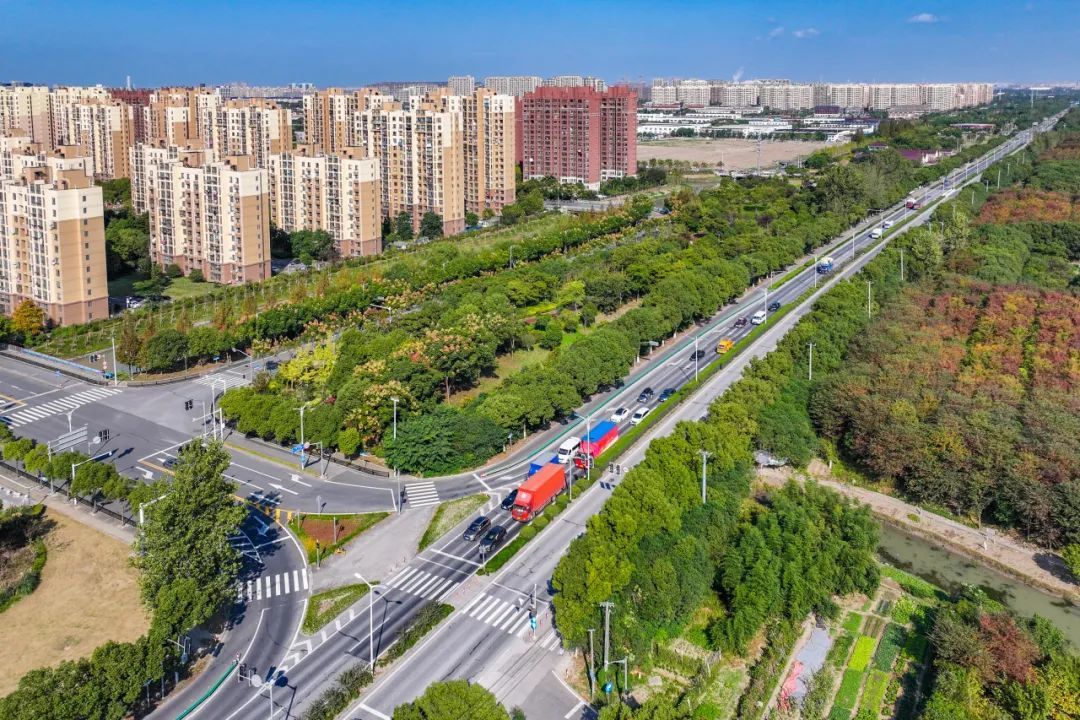 一大波美图袭来带你领略不一样的奉贤新城丨第一弹