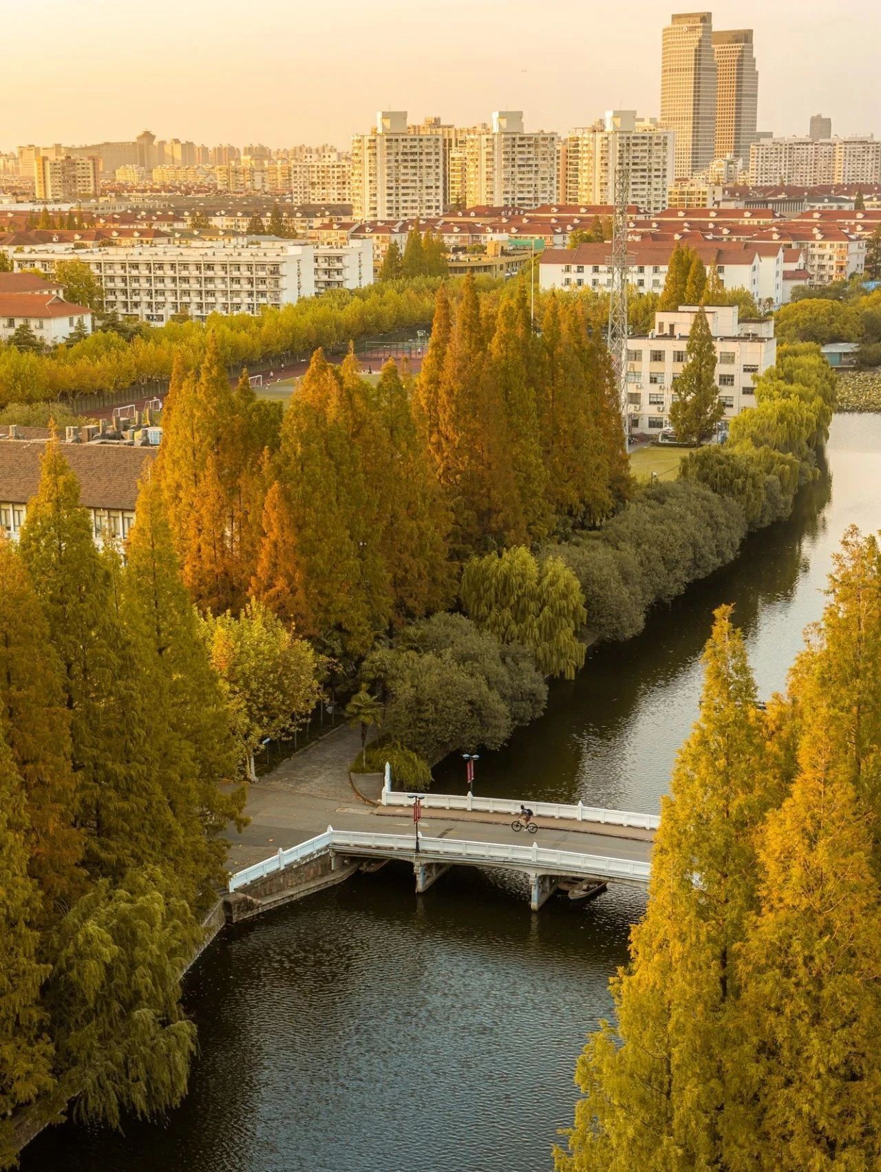 华东师范大学美景图片