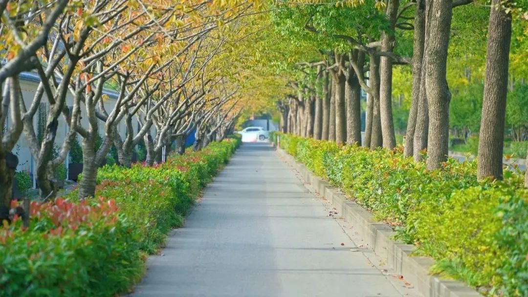 上海街拍风景图片