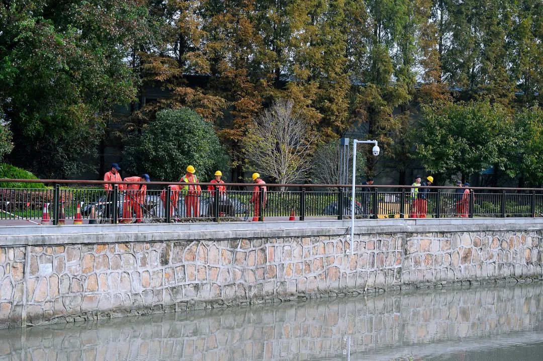 来彭浦镇citywalk感受身边的秋冬美景镜头里的静安