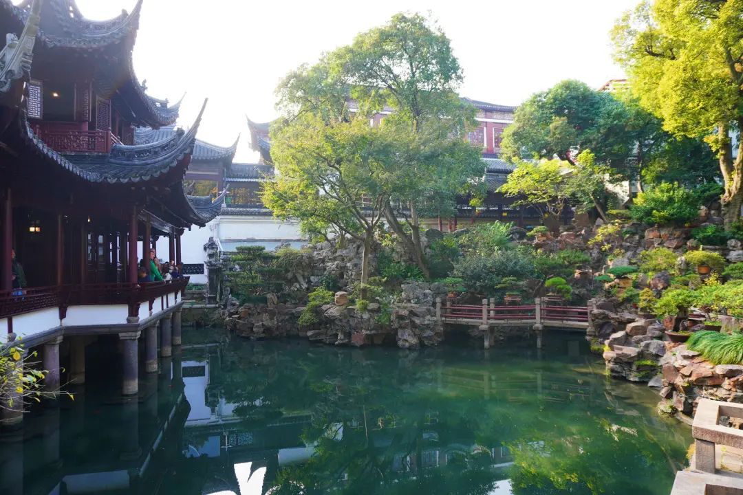 黄浦赏秋地图丨豫园:古风滤镜下的水光山色_上观新闻