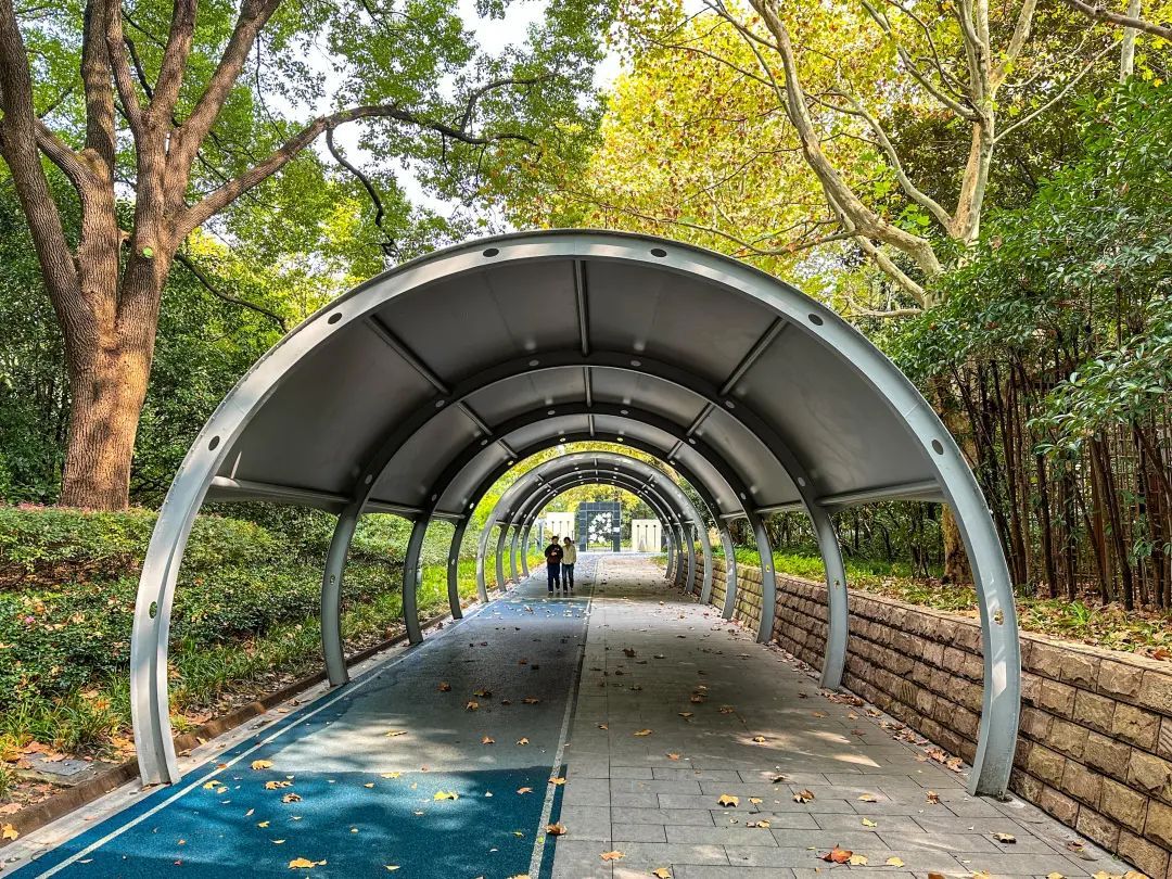 我的位置:>上观号>上海黄浦>文章详情>来人民公园漫步,可以与大自然