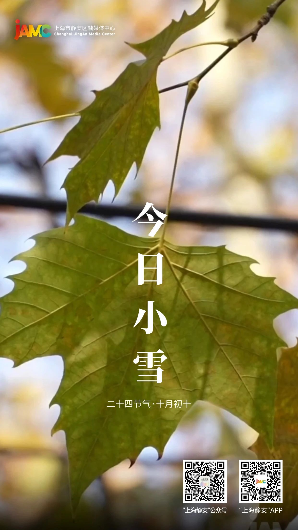 小雪节气静宝带你看静安秋冬美景